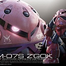 RG (#16) - MSM-07S Char's Z'Gok