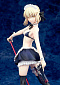 Fate/Grand Order - Saber Rider Alter