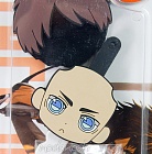 Shingeki no Kyojin - Eren Yeager charm