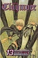 Claymore Graphic Novel #13