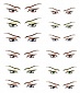 Decals eyes series 18 for 1/6 scale heads