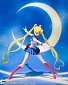 Bishoujo Senshi Sailor Moon Crystal Season III - Sailor Moon - S.H.Figuarts