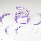 Tamashii Effect - Wind - Violet Ver.