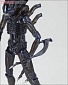 Sci-Fi Revoltech 016 Alien Warrior