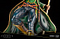 ARTFX PREMIER - Avengers - Loki