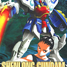 Gundam W (#WF-02) - XXXG-01S Shenlong Gundam Ver. WF