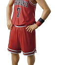 Slam Dunk - One and Only - The Spirit Collection of Inoue Takehiko - Miyagi Ryouta