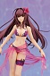 Fate/Grand Order - Scathach (Assassin)