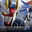 RG (#05) - Gundam SEED - ZGMF-X10A Freedom Gundam