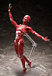 Figma SP-142 - The Table Museum - Human Body Model