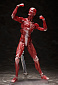 Figma SP-142 - The Table Museum - Human Body Model