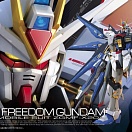 RG (#14) - ZGMF-X20A Strike Freedom Gundam