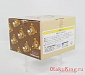 Brown Rilakkuma Cup and saucer