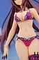 Fate/Grand Order - Scathach (Assassin)