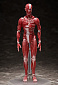 Figma SP-142 - The Table Museum - Human Body Model