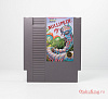NES (ML-USA) - Millipede