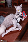 Mystic Land (ERA-004) - Original - Liya - New Year Ver.