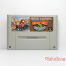 SFC - Donkey Kong Country 3 - Dixie Kong’s Double Trouble - (SHVC-A3CJ)(NTSC-Japan)