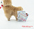 Alpacasso Alpaca Plush - PonPon Velvet Ribbon - Mocha-kun