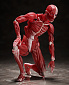 Figma SP-142 - The Table Museum - Human Body Model